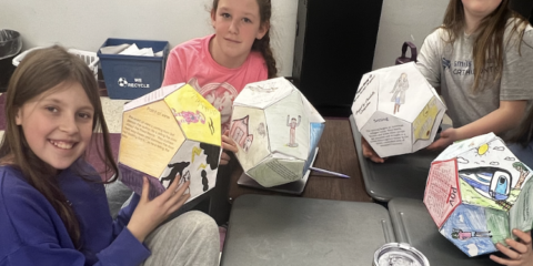 Dodecahedron Book Projects
